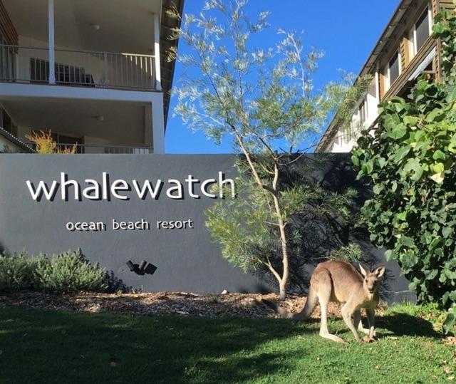 Whale Watch Ocean Beach Resort Пойнт Лукаут Екстериор снимка